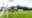 12 Parkvilla v Kells