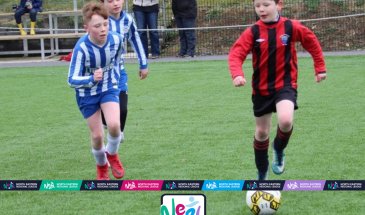 Coaching Leagues (28)