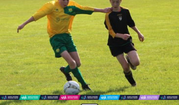 Copy of Coaching Leagues (4)