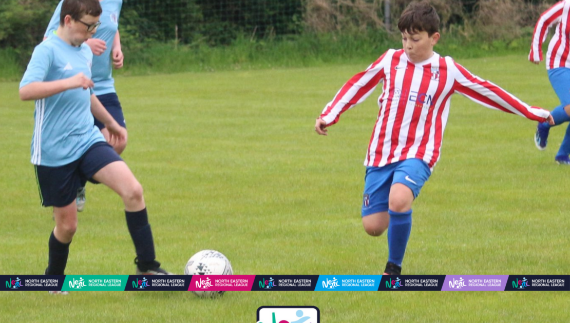 NERL Fixtures