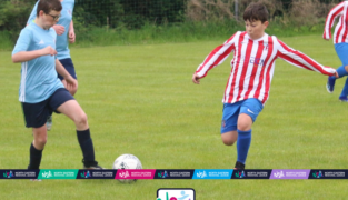NERL Fixtures