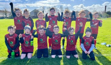 Rossin-rovers