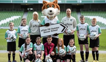 fai summerschool
