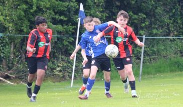 wilton v omp SFAI Semi April 20, 2024 02