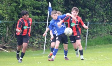 wilton v omp SFAI Semi April 20, 2024 02